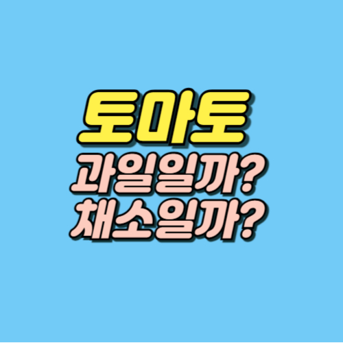 토마토 효능 부작용