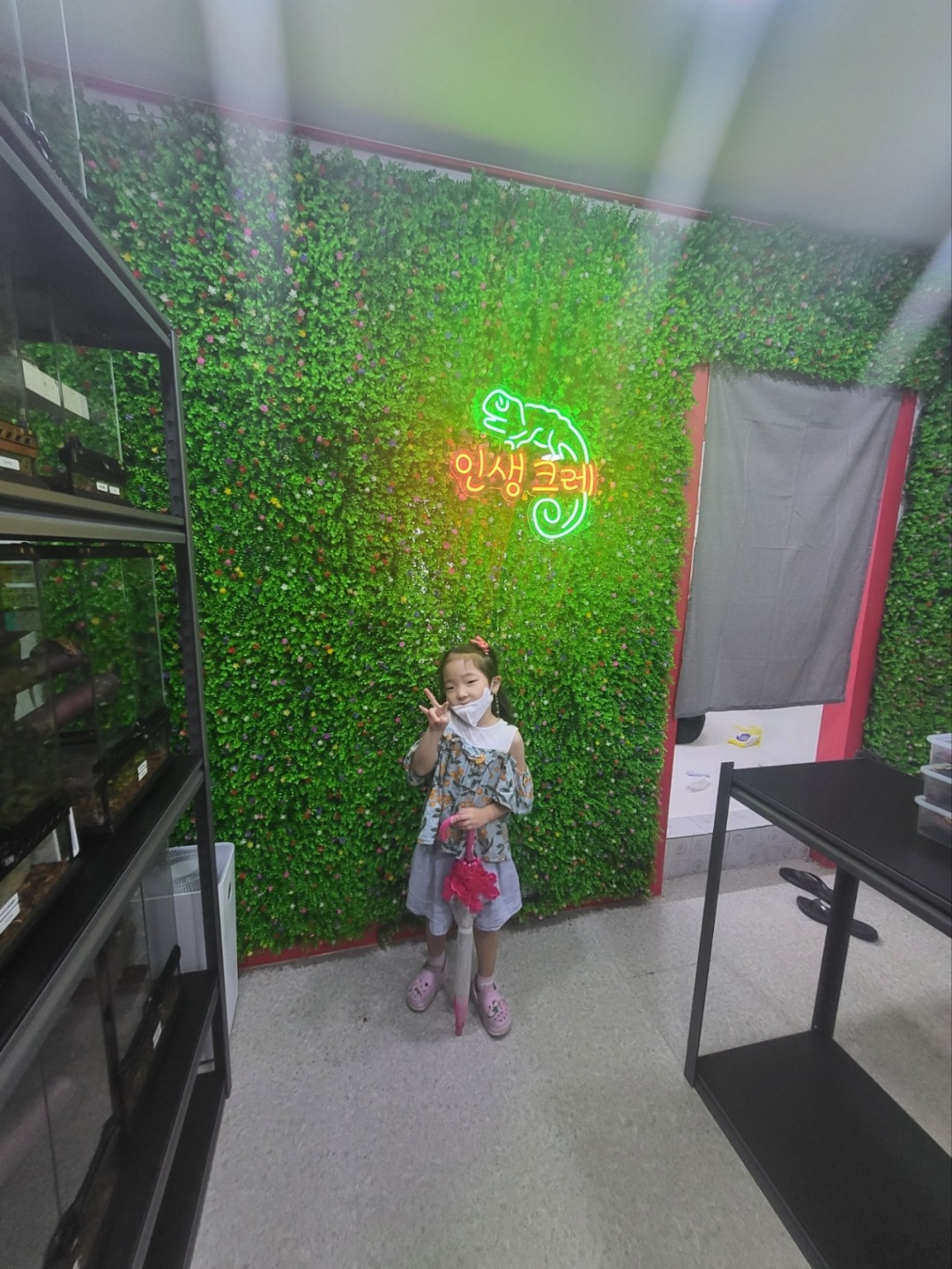 크레스티드 게코