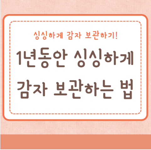 감자 보관하는법