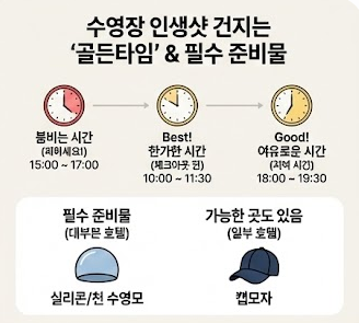 수영장 인생샷 골든타임
