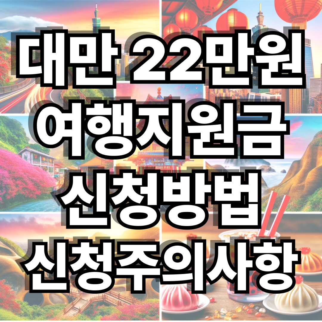 대만 여행지원금 신청방법과 사용처, 사용방법, 당첨후기
