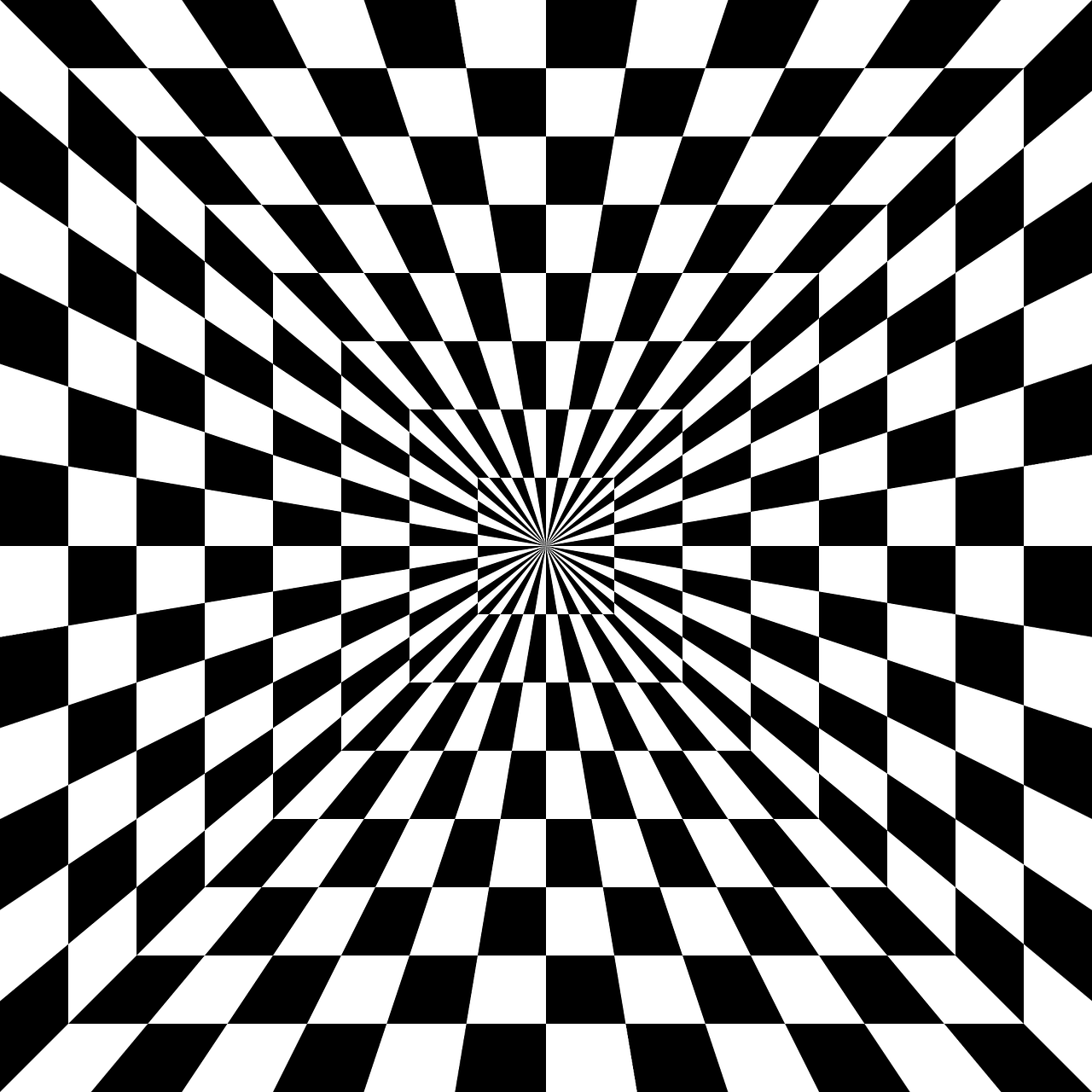 Rotating Snakes illusion