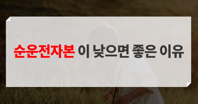 순운전자본과 재무 건전성 간의 관계