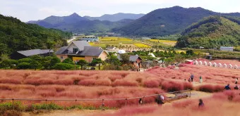 고창 맛집 베스트10 숨겨진 나만 아는 맛집_4