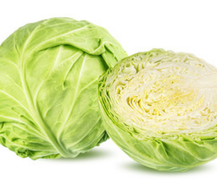 비타민 U 와 지혈을 돕는데 비타민 K