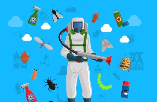 날파리-없애는-법-5