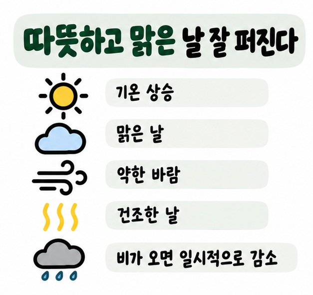 따뜻하고 맑으며 약한 바람이 부는 날 꽃가루가 잘 퍼지고 비가 오면 일시적으로 줄어드는 날씨 카드