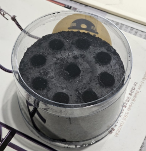 태백 기차 당일치기 여행