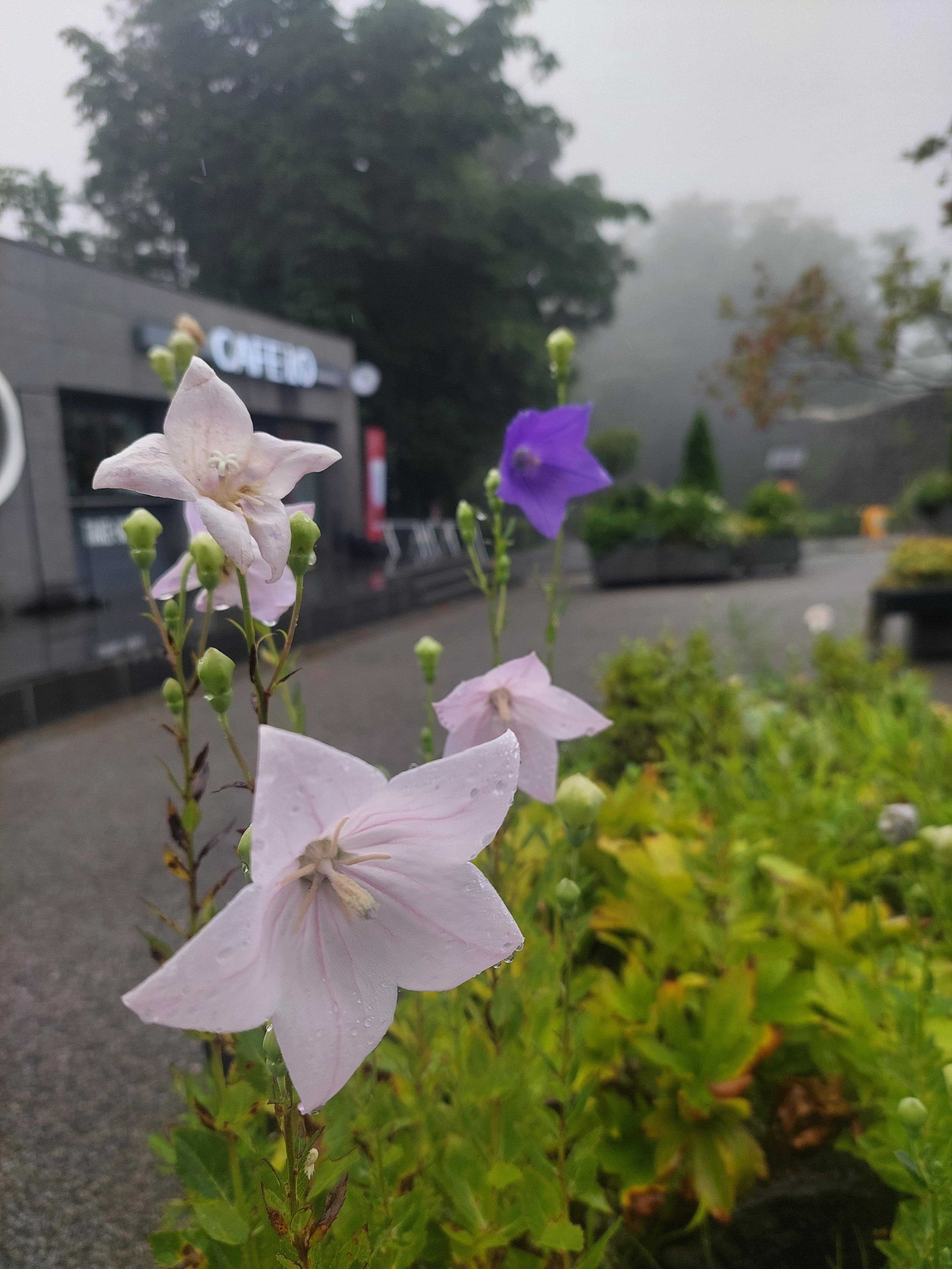 남산매봉산
