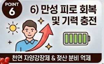마가목 효능