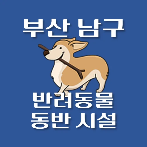 썸네일-부산시-남구-반려동물-출입가능-장소