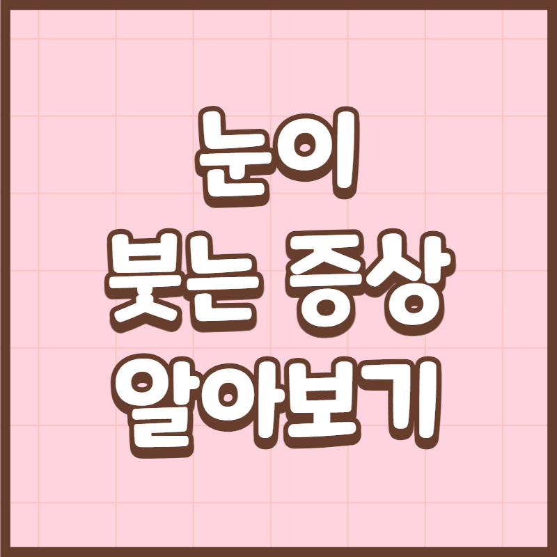 눈이 붓는 증상