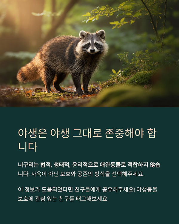 애완동물이 될 수 없다