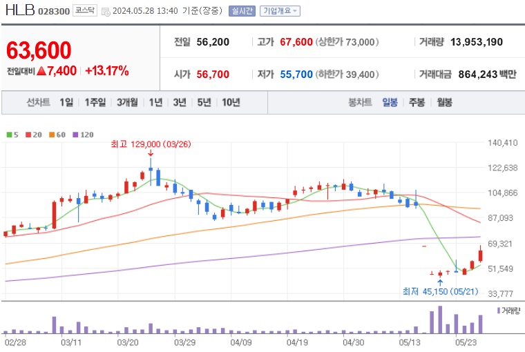 HLB 주가