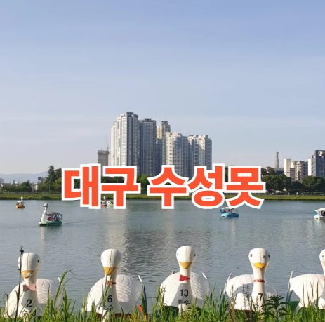 대구 수성못