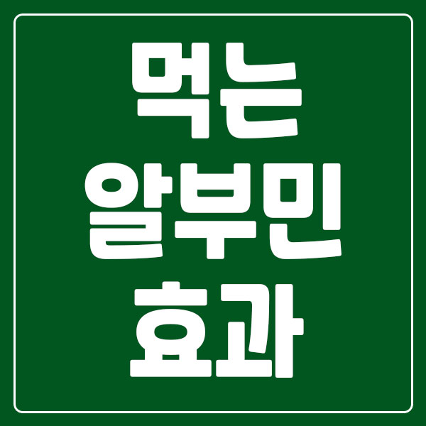 먹는 알부민 영양제 효과