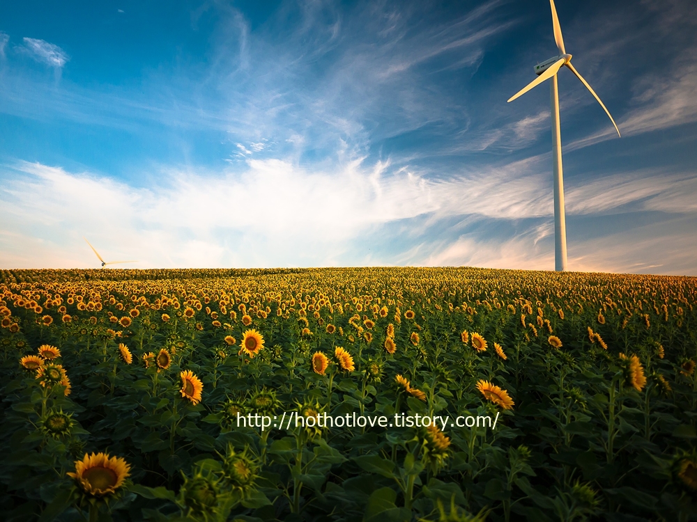 아테네와 스파르타