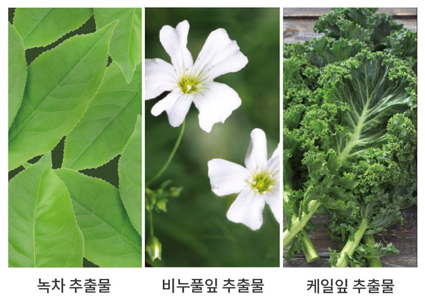 © 미쟝센 공식 홈페이지