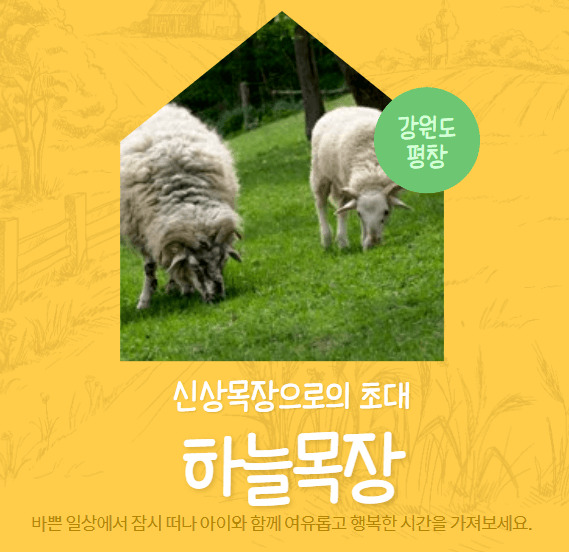 대관령 하늘목장