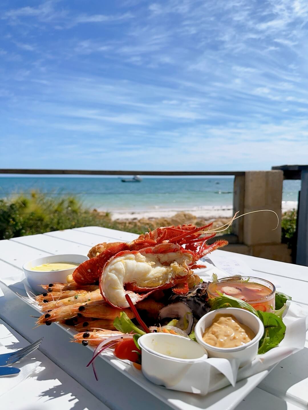 호주 퍼스 여행정보&amp;#44; 쿼카 로트네스트 섬&amp;#44; 칼바리 피나클스 투어