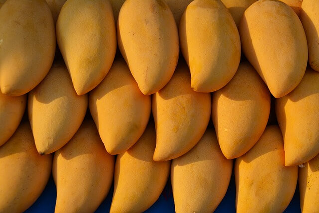 망고-보는-꿈-해몽