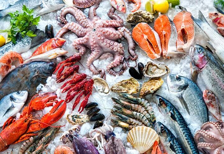 물고기 잡는 꿈