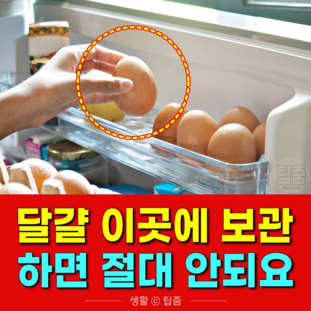 달걀 보관방법 ,냉장고 달걀 보관온도,팁줌