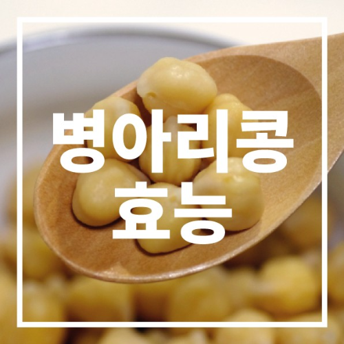 병아리콩 효능