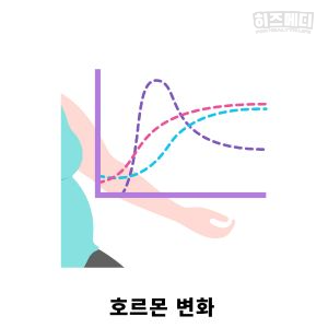 입덧 시기 증상 관리