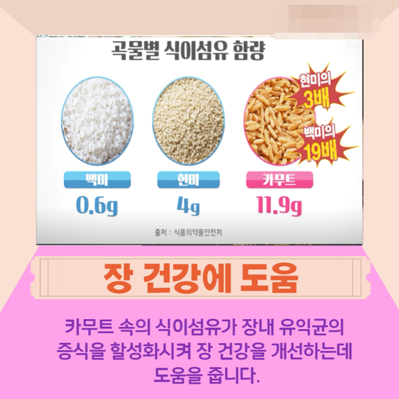 alt="곡물별 식이섬유 함량"