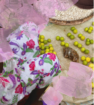 바이레도향수-발다프리크