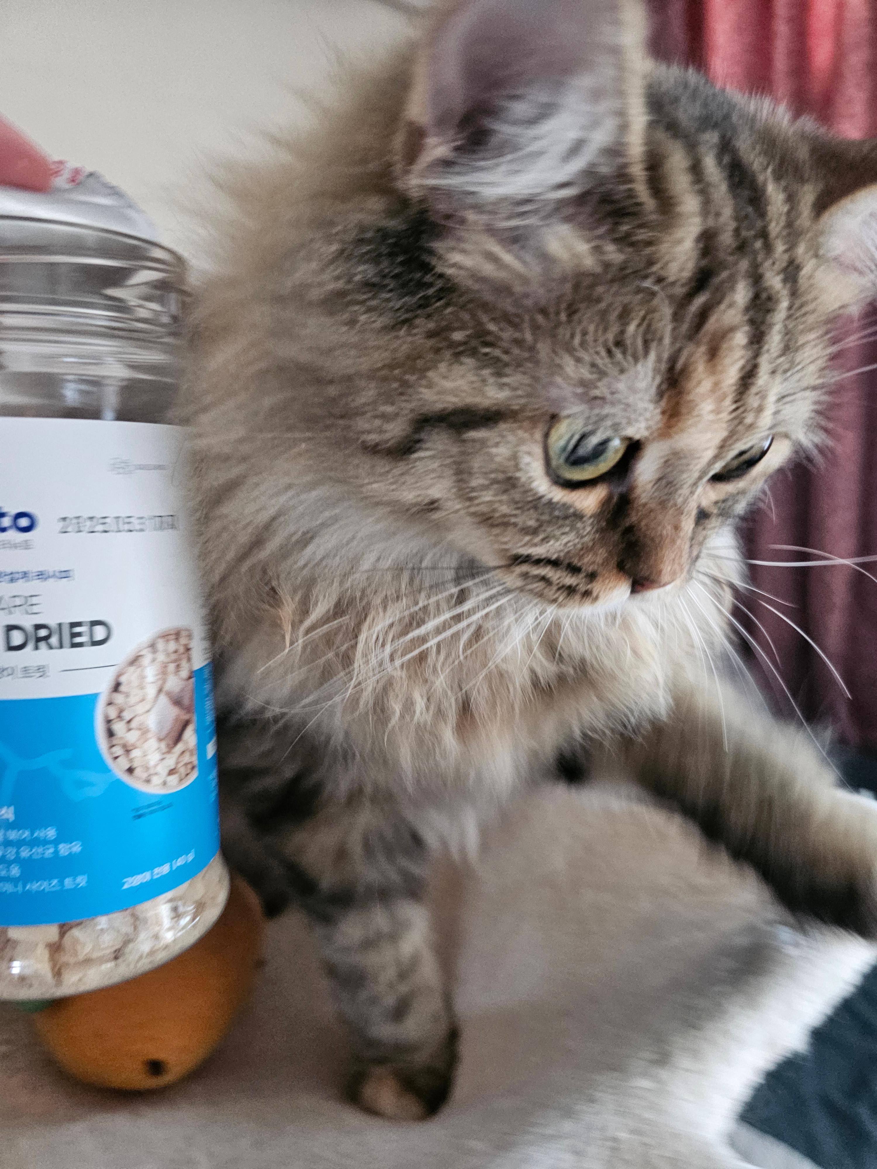 양치질 좋은 관리법