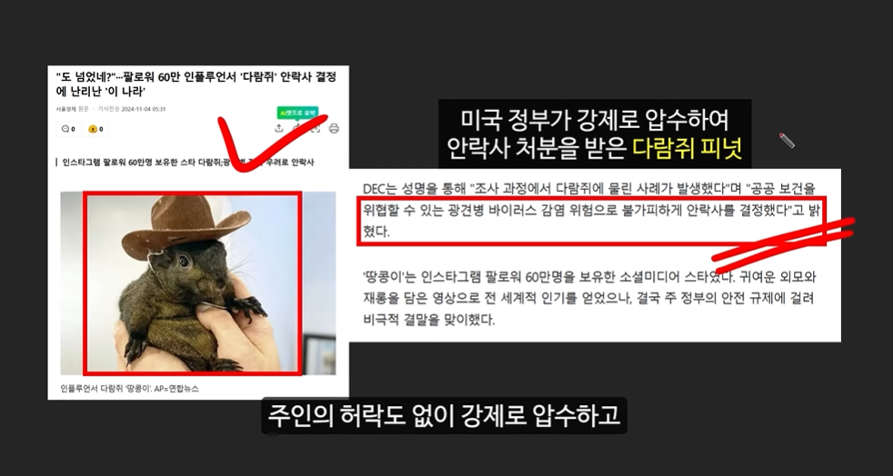 일론 머스크의 충격 발언과 도지코인, 플로키코인, 위프코인, 피넛코인, 프레드 코인의 강력한 상승 가능성 분석