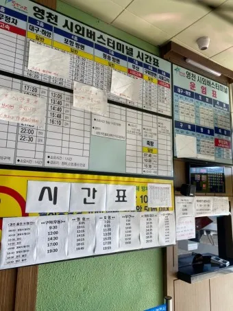 영천 시외버스터미널 시간표 예매 요금_23