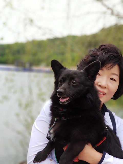 AI 챗봇이 동물과 대화하는 시대가 올까?