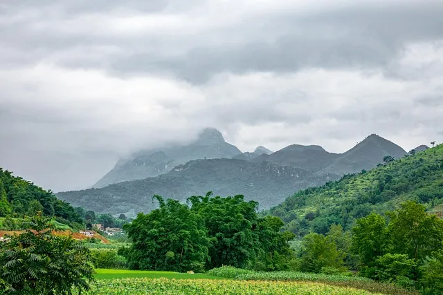 여수 시티투어버스 2025 운영시간 가격표 시간표_4