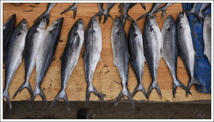 수산물 원산지 표시 대상품목 및 표시방법