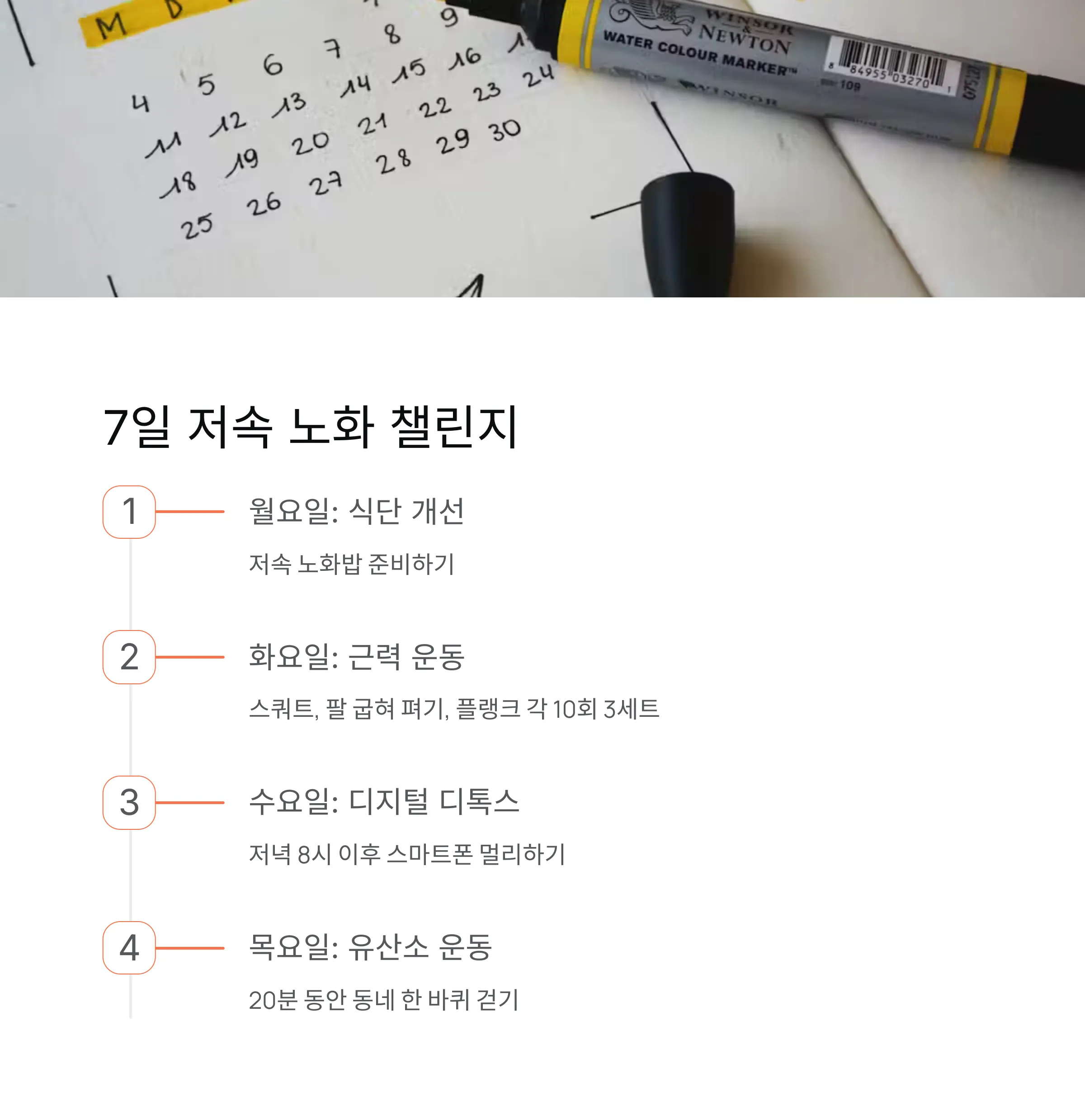 중년 저속노화