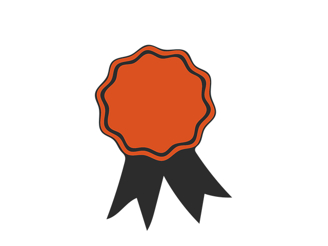 kc인증번호조회