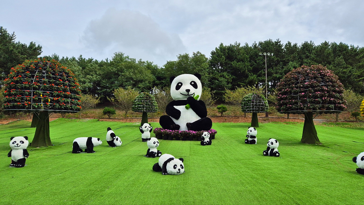 9월 13일 개화현황4