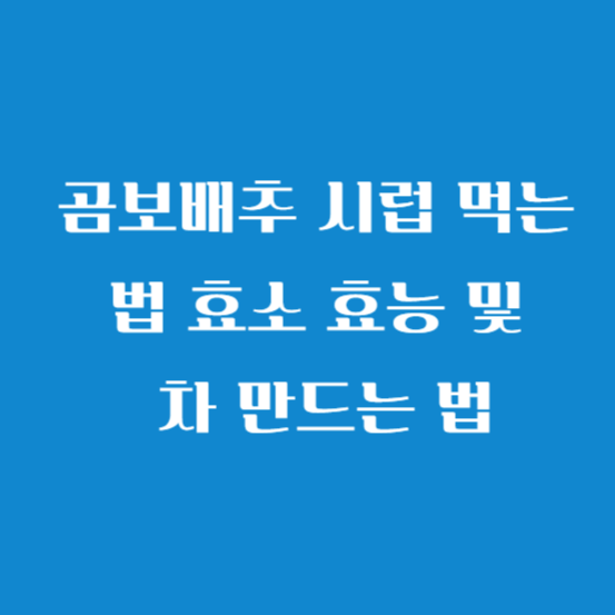 곰보배추 시럽 먹는 법 효소 효능 및 차 만드는 법