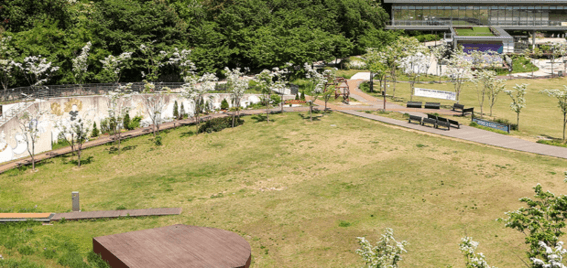 북서울 꿈의 숲 야외 장소