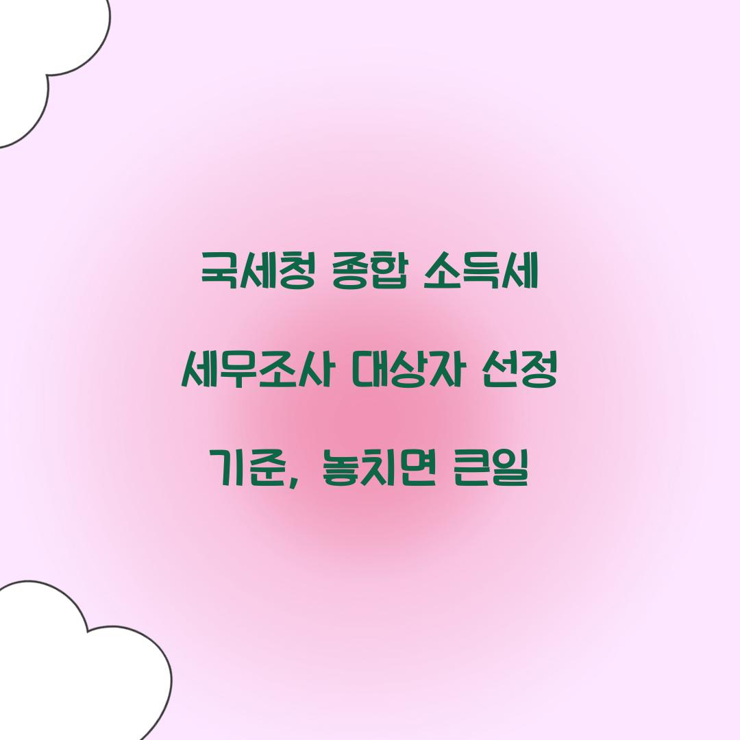 국세청 종합 소득세 세무조사 대상자 선정 기준