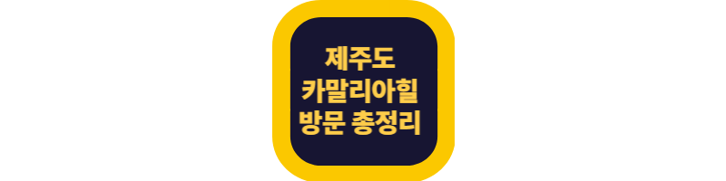 제주 카멜리아힐 방문 총정리 ❘ 관람 시간, 동선, 후기, 맛집까지 한눈에!