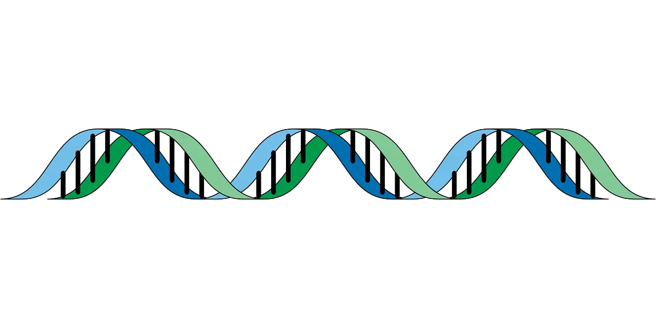 멘델의 유전법칙: 우성과 열성 유전자