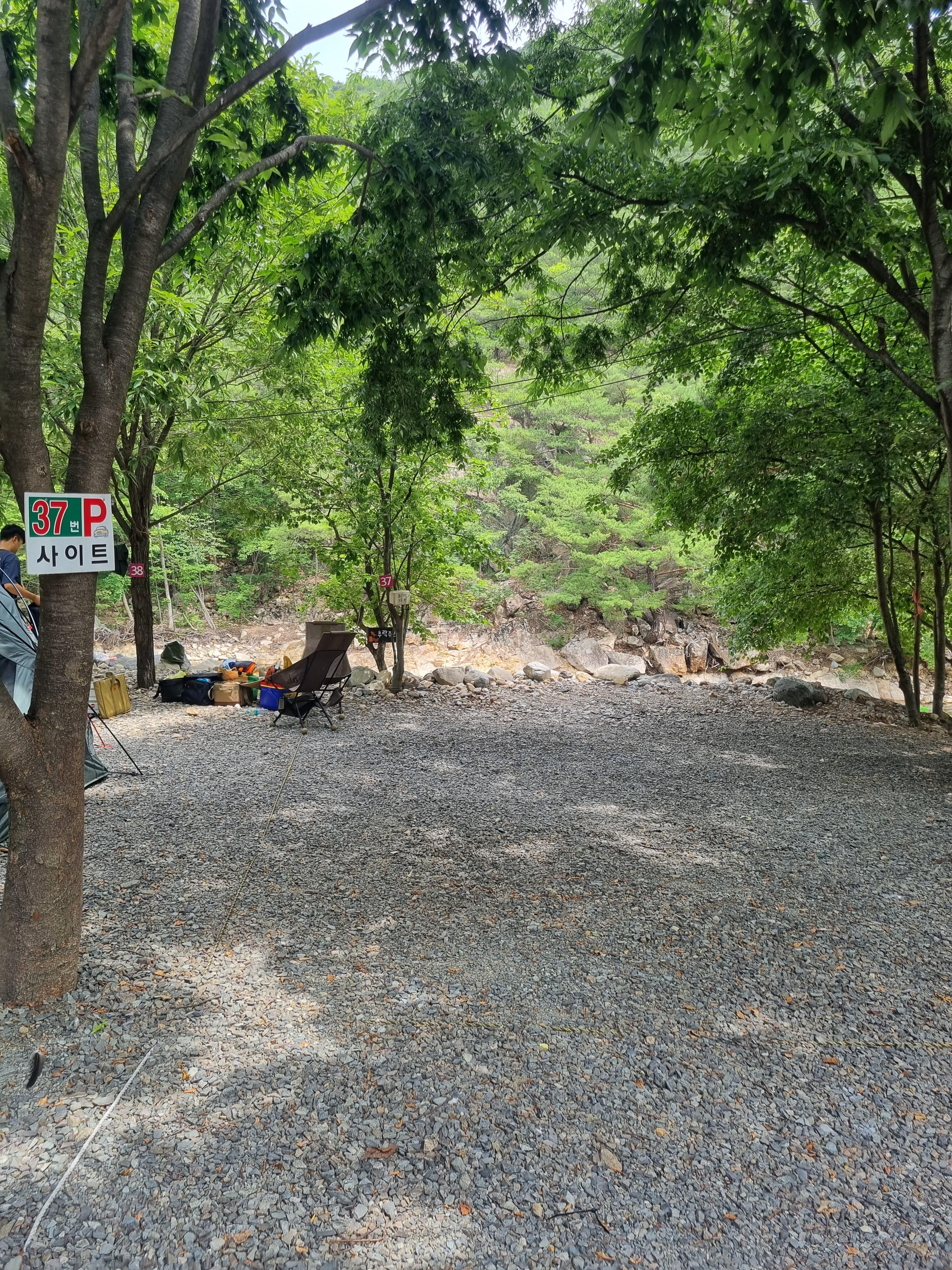 둥지펜션캠핑장