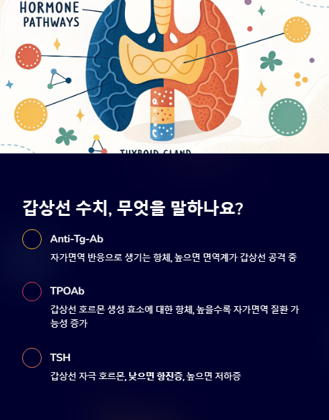 갑상선 수치 무엇을 말하나요?