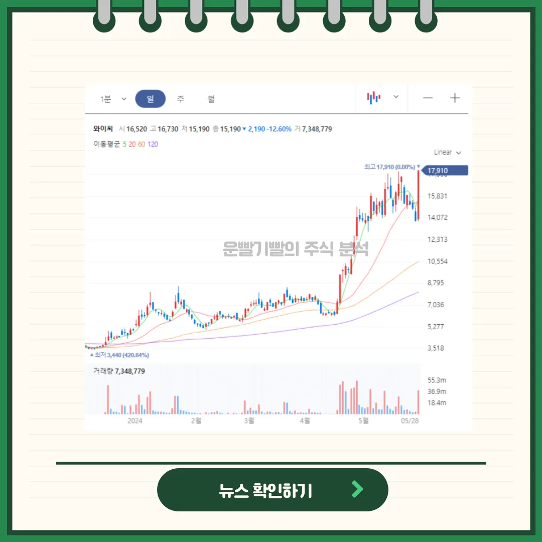 와이씨 일봉/월봉차트