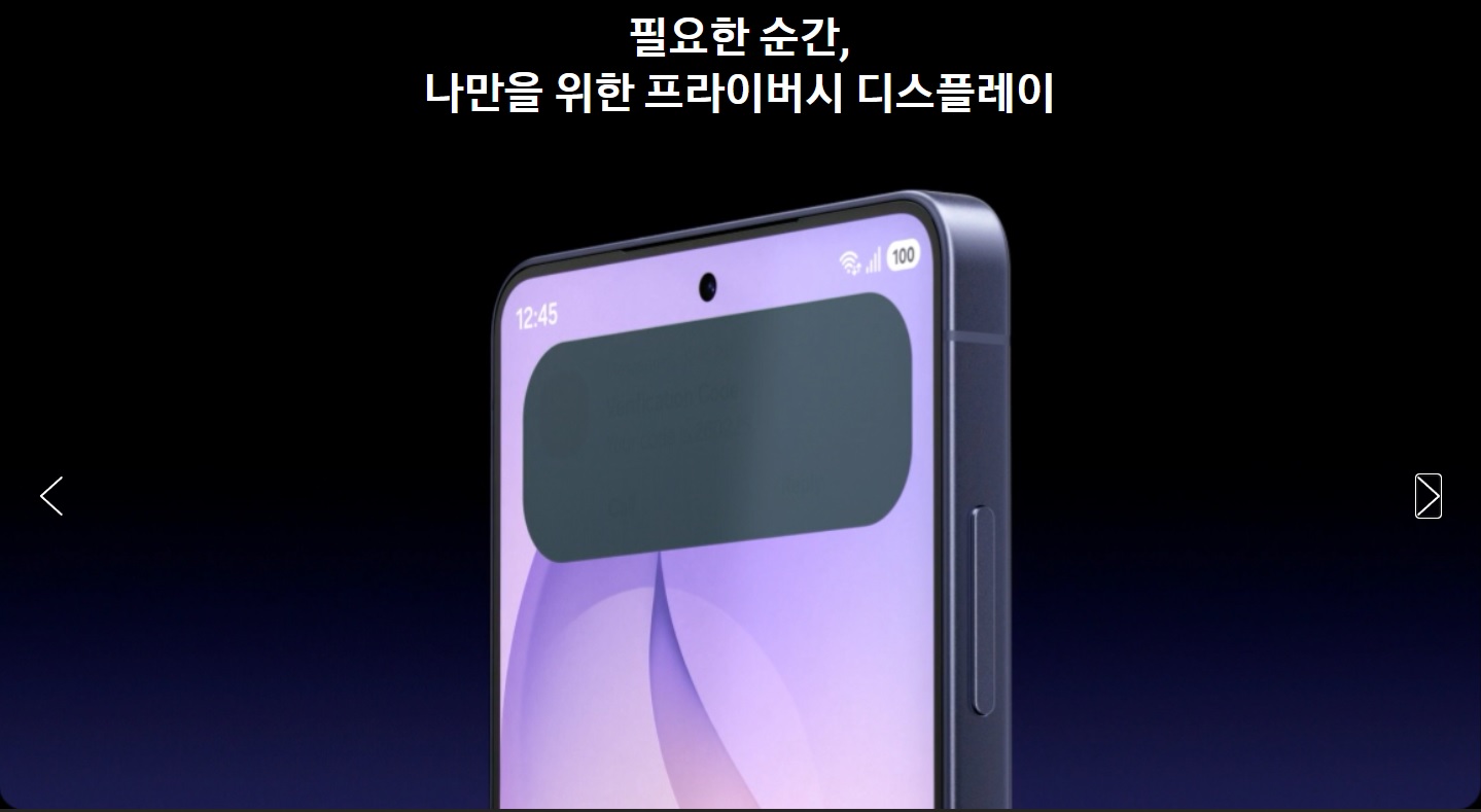 프라이버시 디스플레이