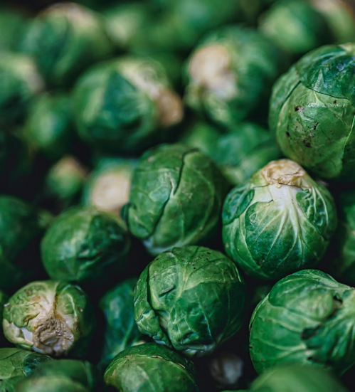 양배추 효능과 부작용 칼로리